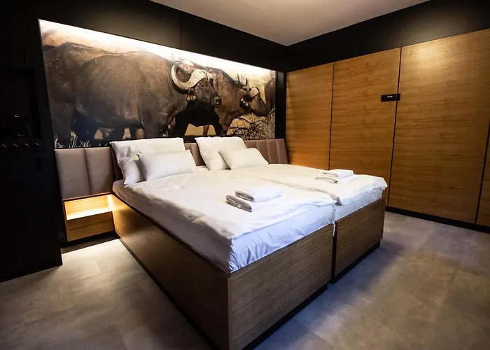 Szálloda Tvrz Krassa 4*